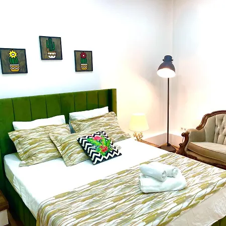 Great Historical Luxury Flat For Families